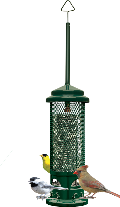 Squirrel Buster Feeder Legacy